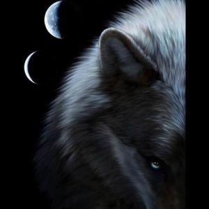 Meet your Posher, Levi